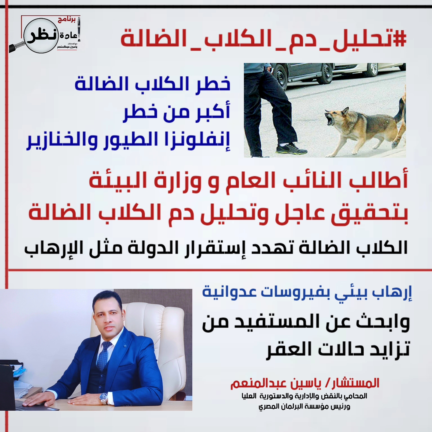بلاغ للنائب العام لتحليل دم الكلاب الضالة